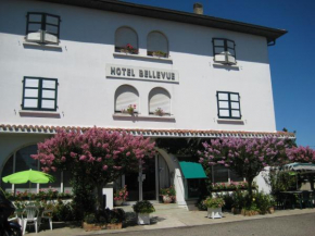  Hotel Bellevue  Морсан